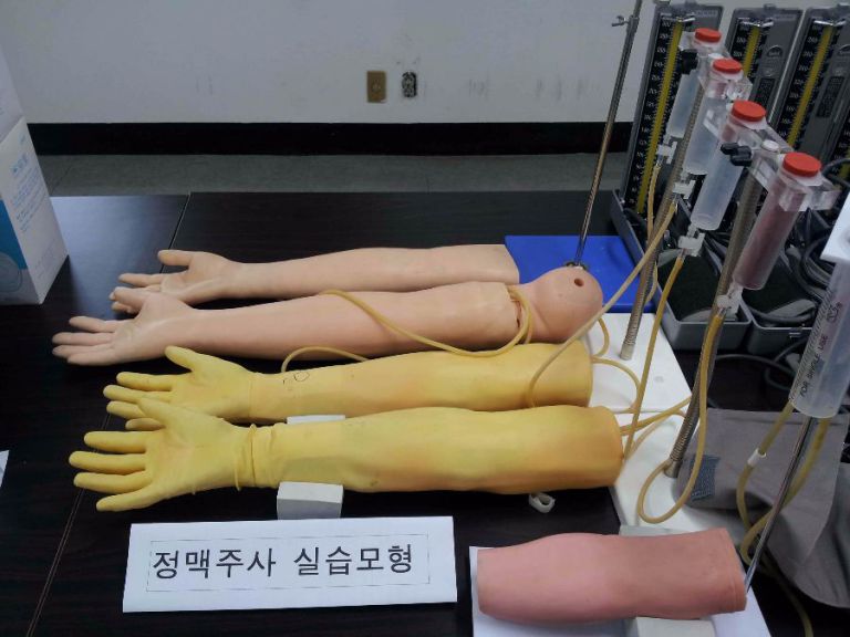 정맥주사실습모형
